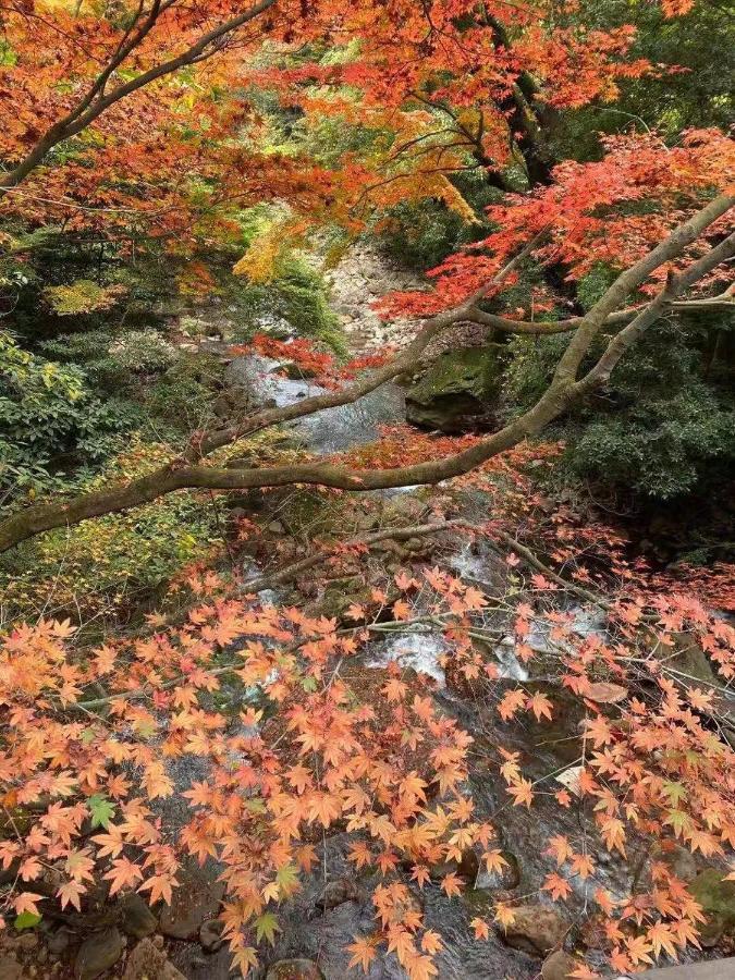 Отель Hoshi No Sato Кирисима Экстерьер фото